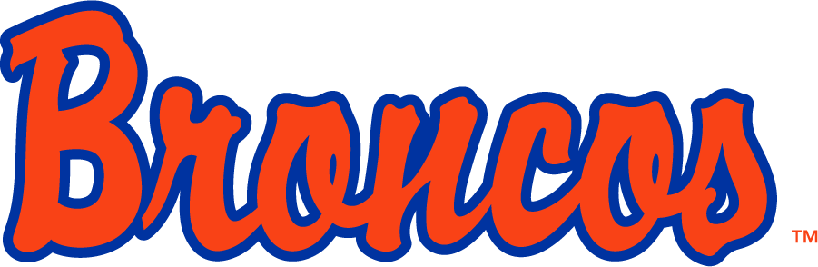 Boise State Broncos 1997-2001 Wordmark Logo iron on transfers for clothing
